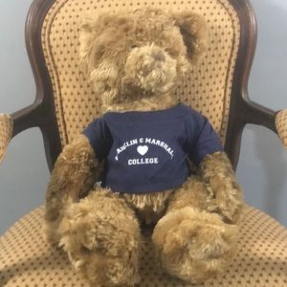 📌 Chelsea Cute Teddy Bear wears a Franklin & Marshall College Shirt
